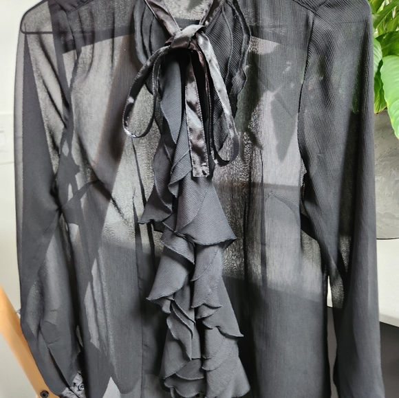 The limited satin translucent blouse - Picture 4 of 8